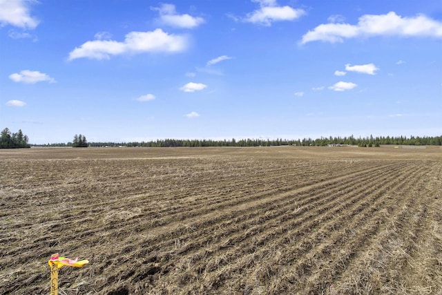 TBD S Christensen Rd, Medical Lake WA, 99022 land for sale