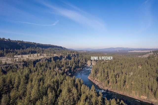 birds eye view of property with a mountain view and a view of trees