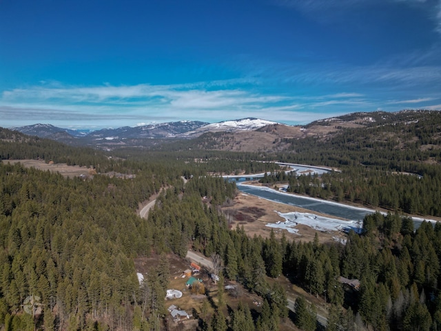 bird's eye view featuring a mountain view and a wooded view