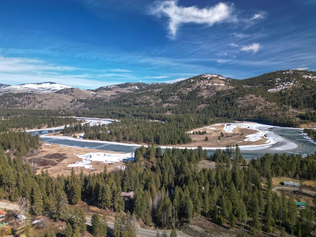 view of mountain feature with a wooded view