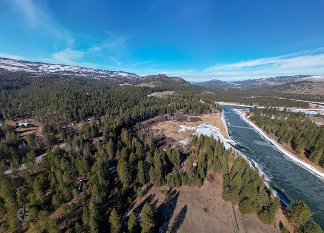 birds eye view of property with a forest view and a mountain view