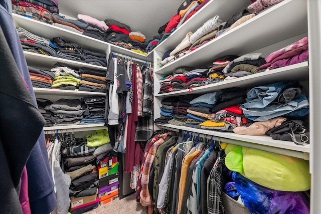 spacious closet featuring carpet floors