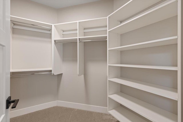 walk in closet with carpet floors