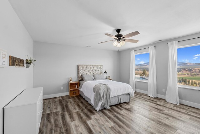 842U Valley Westside Rd, Colville, WA 99114 - photo 33