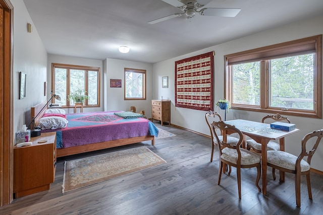 bedroom featuring multiple windows, baseboards, and wood finished floors