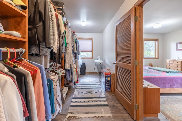 walk in closet featuring wood finished floors