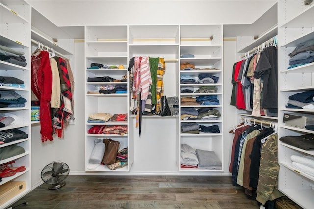 walk in closet featuring wood finished floors