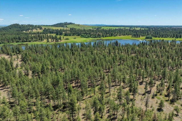 drone / aerial view featuring a forest view and a water view