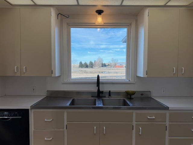 kitchen with black dishwasher and a sink