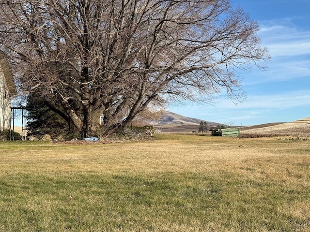 view of yard with a rural view and a mountain view