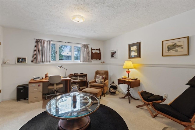 sitting room featuring a textured ceiling and carpet flooring