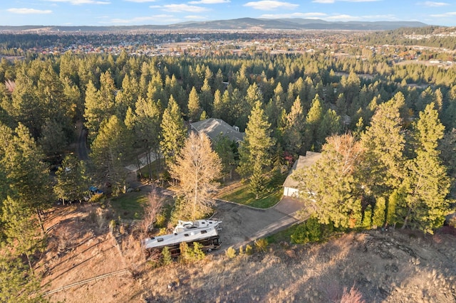 bird's eye view with a forest view and a mountain view