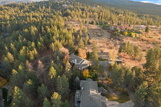 bird's eye view with a wooded view