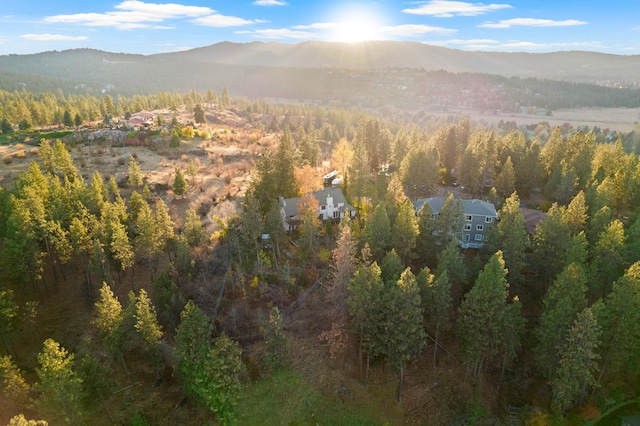 view of mountain feature with a wooded view