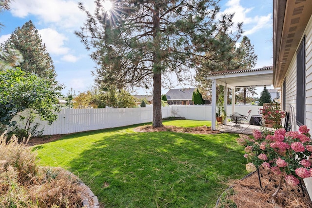 view of yard with a patio area and a fenced backyard