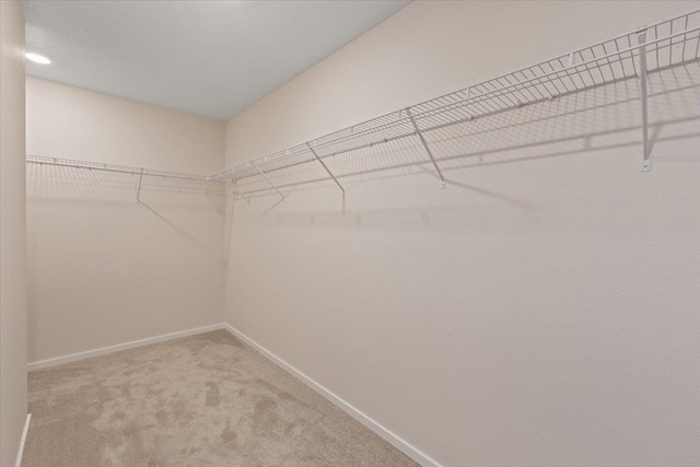 walk in closet with light carpet