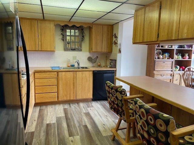 kitchen with light wood finished floors, light countertops, backsplash, a sink, and dishwasher