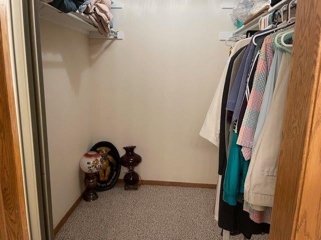 walk in closet featuring carpet flooring