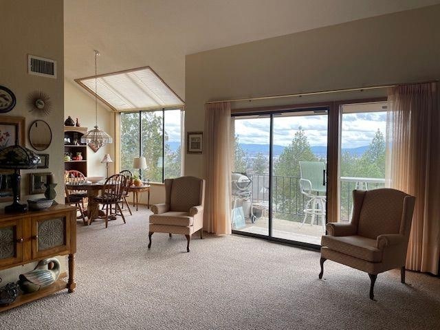 living area featuring carpet floors and visible vents