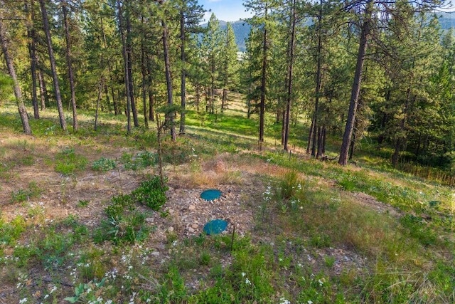 694 Palmer Ln, Chewelah, WA 99101
