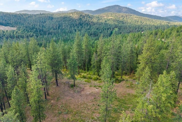 694 Palmer Ln, Chewelah, WA 99101