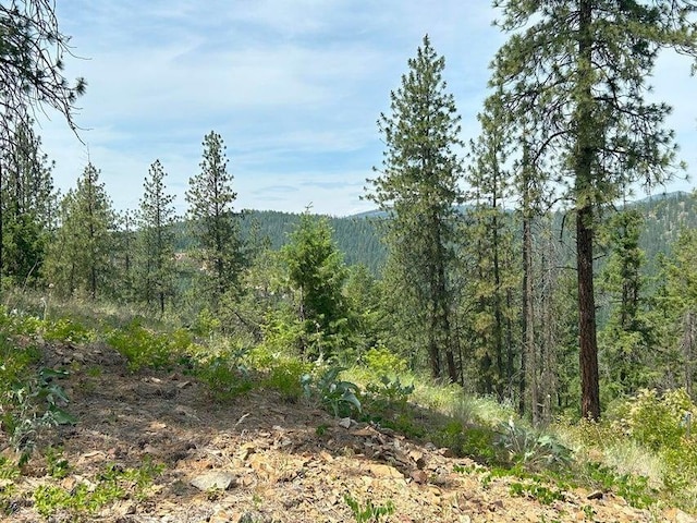 694 Palmer Ln, Chewelah, WA 99101