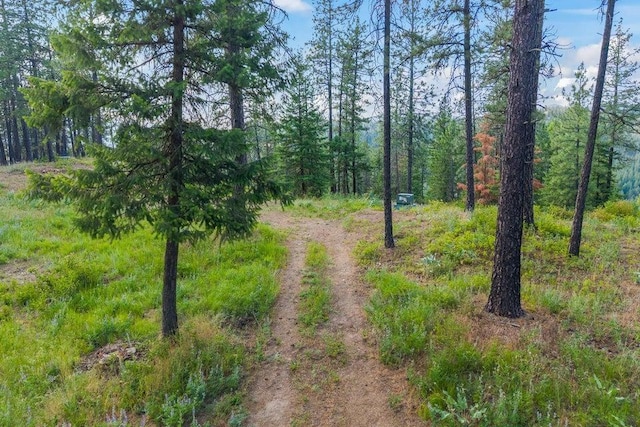 694 Palmer Ln, Chewelah, WA 99101