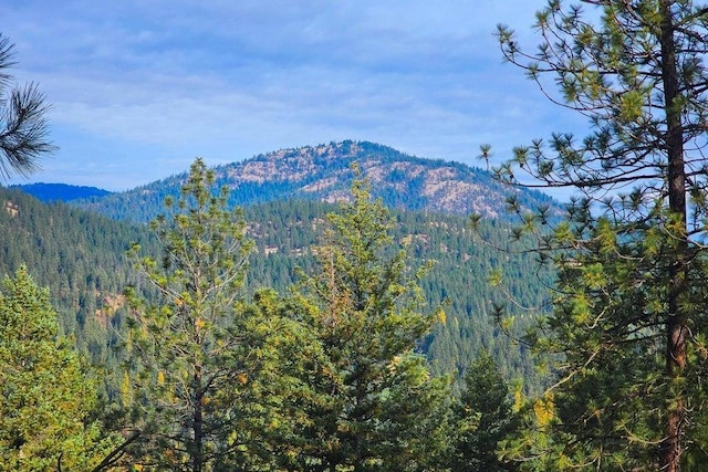 694 Palmer Ln, Chewelah, WA 99101