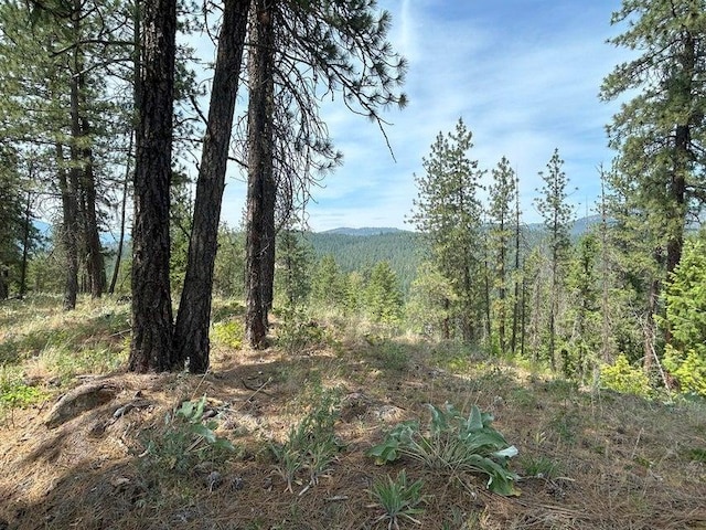 694 Palmer Ln, Chewelah, WA 99101