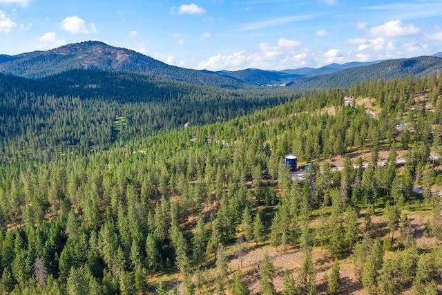 694 Palmer Ln, Chewelah, WA 99101
