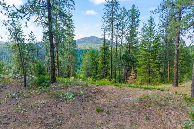 694 Palmer Ln, Chewelah, WA 99101