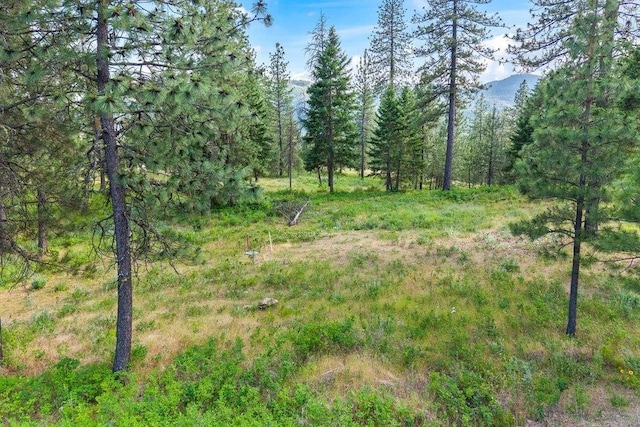 694 Palmer Ln, Chewelah, WA 99101