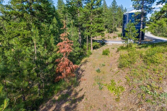 694 Palmer Ln, Chewelah, WA 99101