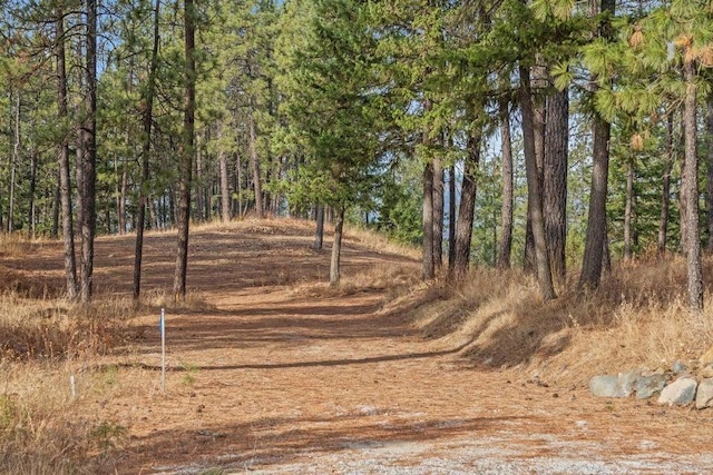 694 Palmer Ln, Chewelah, WA 99101