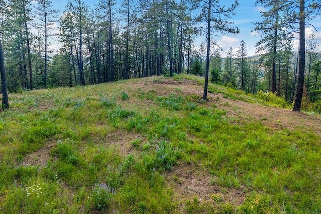 694 Palmer Ln, Chewelah, WA 99101