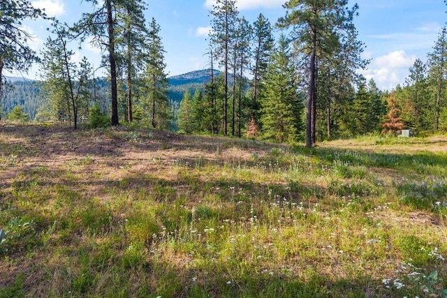 694 Palmer Ln, Chewelah, WA 99101