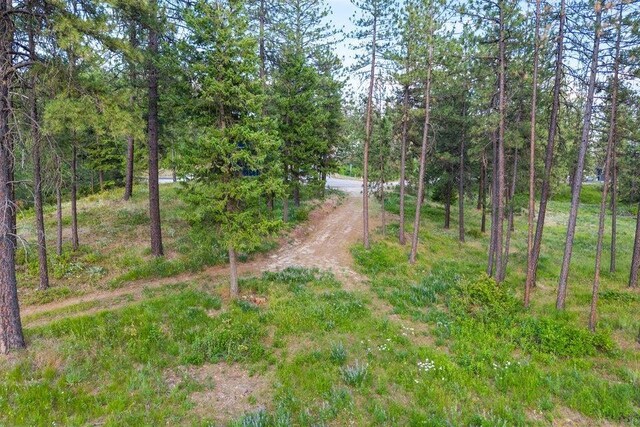694 Palmer Ln, Chewelah, WA 99101