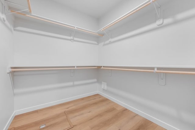 walk in closet with wood finished floors