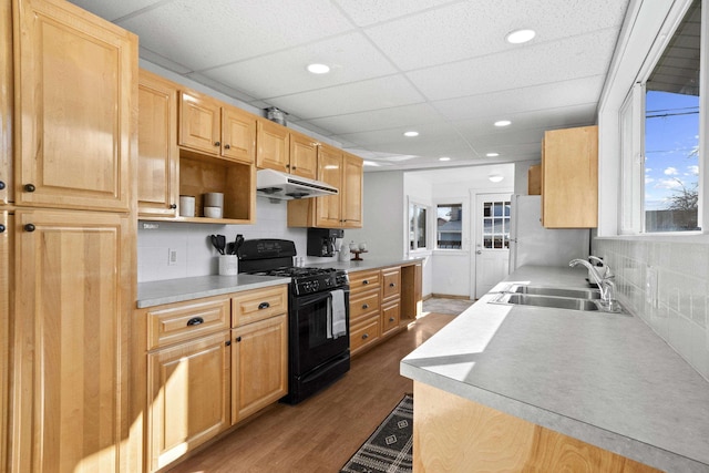 kitchen with black gas range, wood finished floors, freestanding refrigerator, under cabinet range hood, and a sink