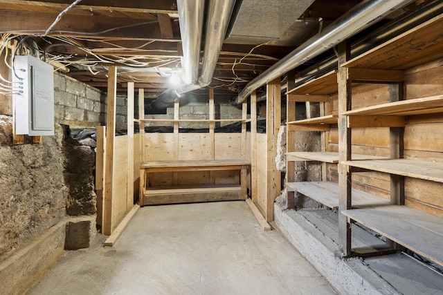 unfinished basement featuring electric panel