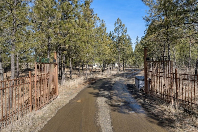 view of road with a gated entry