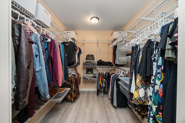 walk in closet featuring wood finished floors