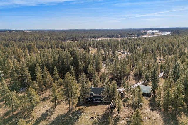 bird's eye view with a forest view