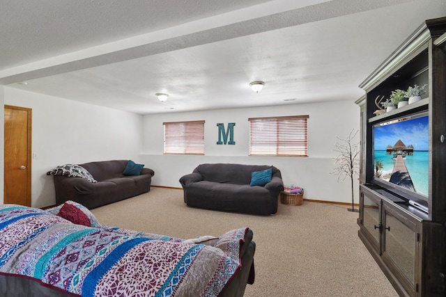 living area with a textured ceiling, carpet, and baseboards