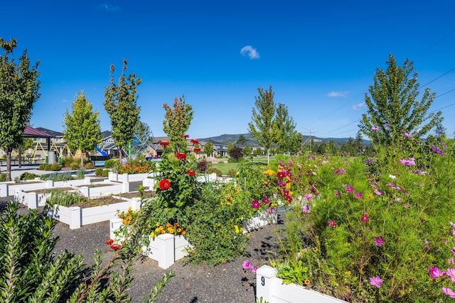 surrounding community with a garden and fence