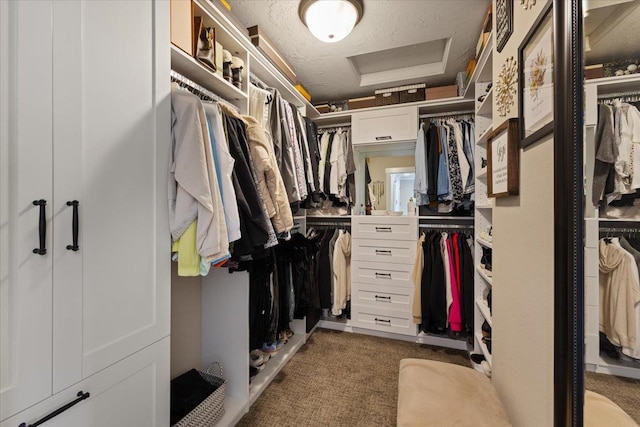 spacious closet featuring attic access and dark colored carpet