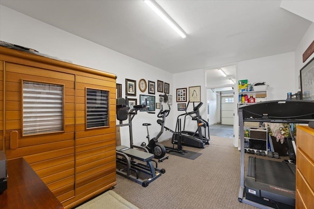 exercise room featuring carpet