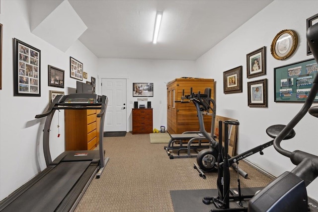 workout room featuring carpet