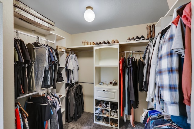 spacious closet featuring carpet