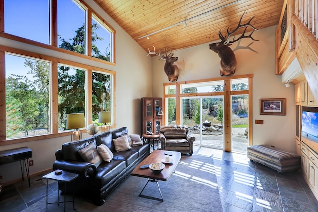 living room featuring baseboards, high vaulted ceiling, wood ceiling, and stone tile floors